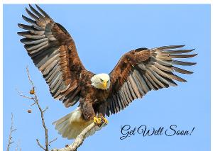 Get Well Soon -- Wings Like Eagles