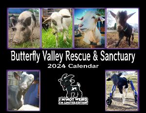 2024 Butterfly Valley Rescue & Sanctuary Calendar