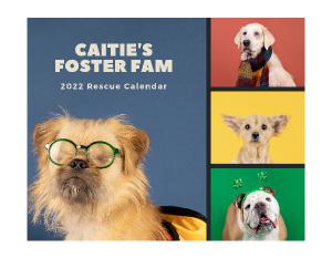 2022 Caitie's Foster Fam Calendar