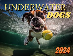 Underwater Dogs 2024 Wall Calendar