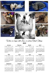 calendarsoo