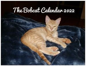 The Bobcat Calendar 2022