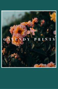 Calendy Prints Photo Cover Notebook