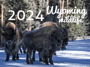 2024 Wyoming wildlife calendar