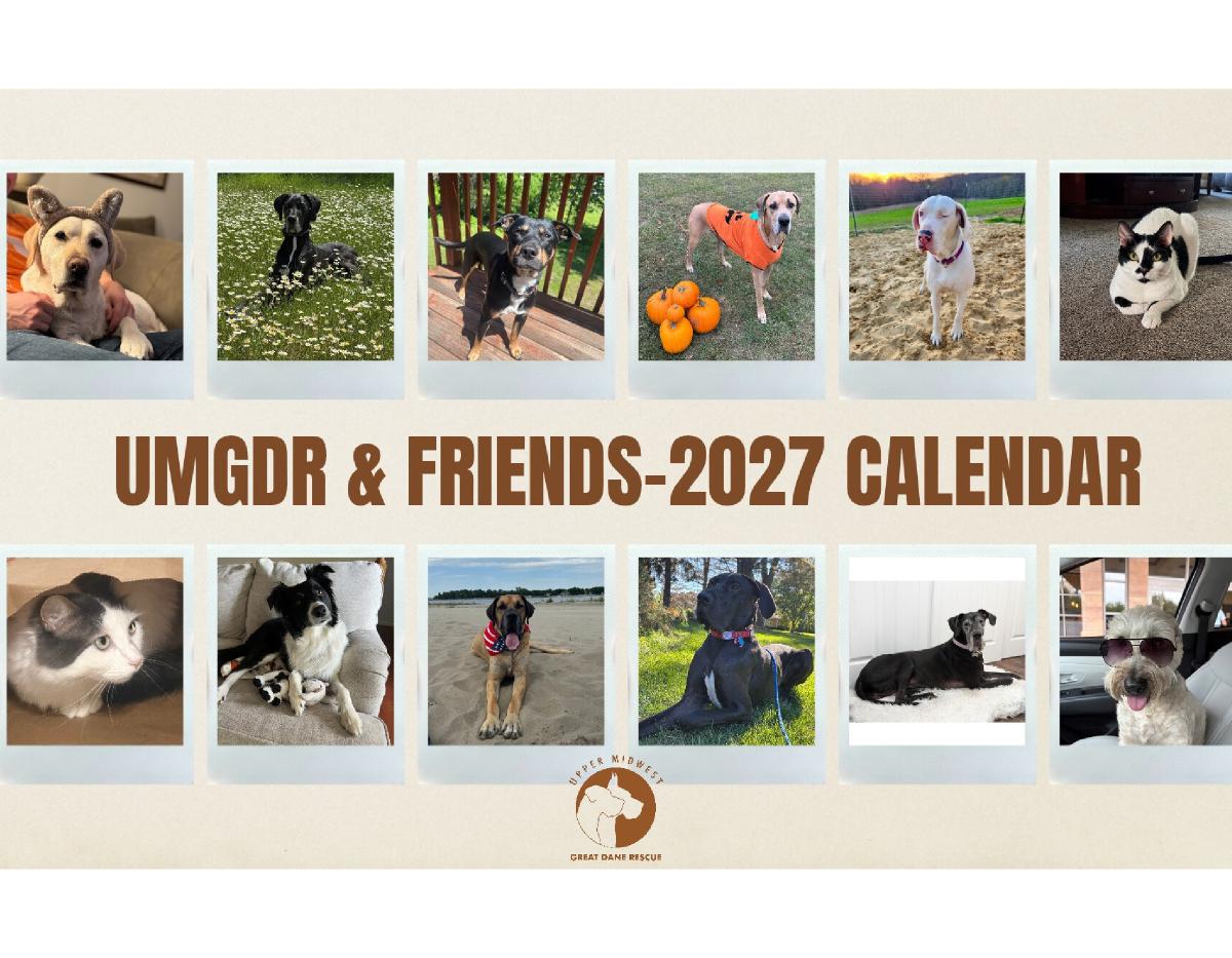 UMGDR & Friends 2027