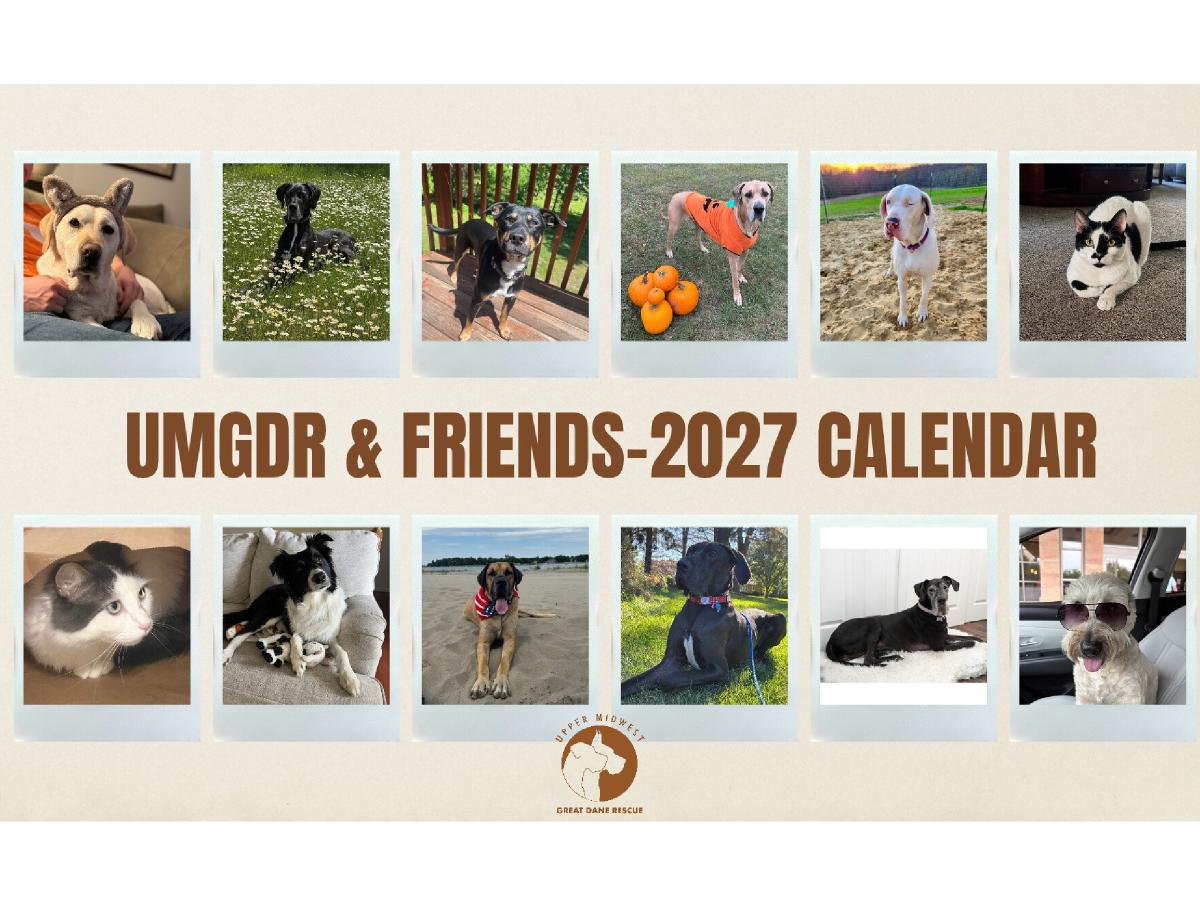 UMGDR & Friends 2027