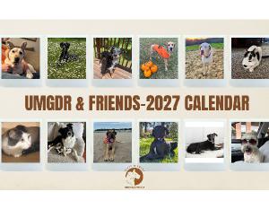 UMGDR & Friends 2027
