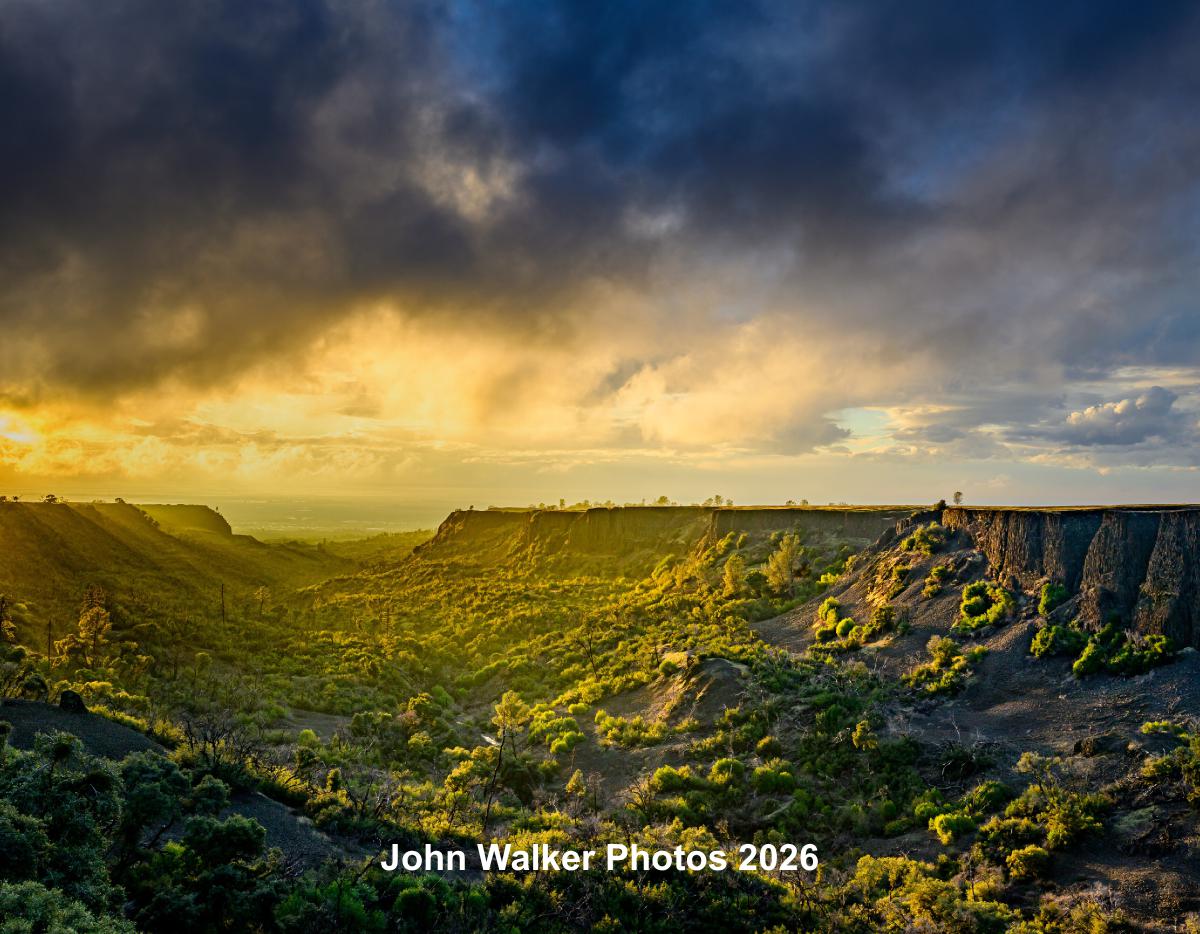 John Walker Photos 2026