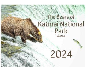 Katmai Bears 2024