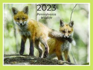 Pennsylvania Wildlife Calendar