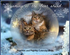 Peaches and Paprika Calendar 2024