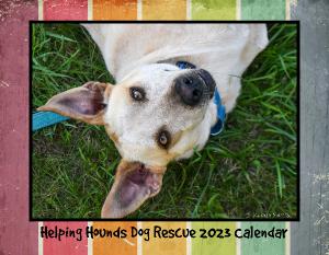 Helping Hounds Dog Rescue 2023 Calendar