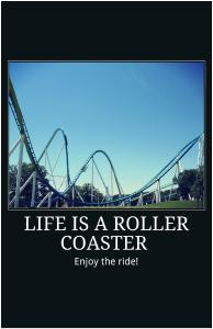 Life is a Roller Coaster - Fury Poster