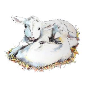 Cuddling Lambs