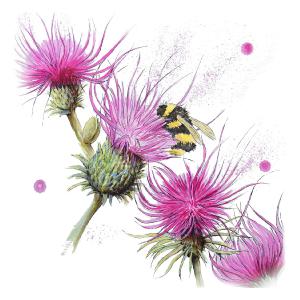bee and four thistles
