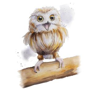 Owen the Owl