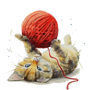 Kitten and Wool