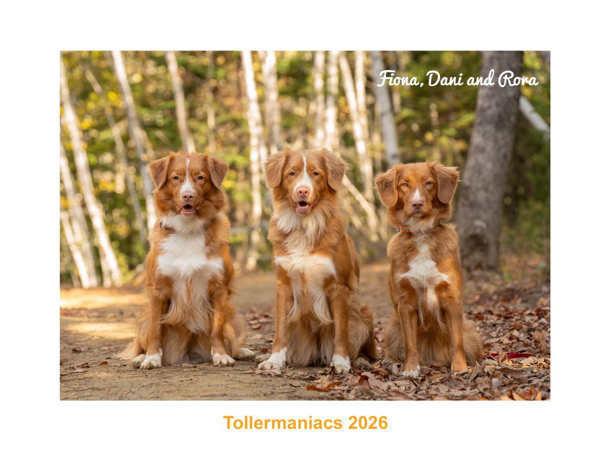 Tollermaniacs 2026