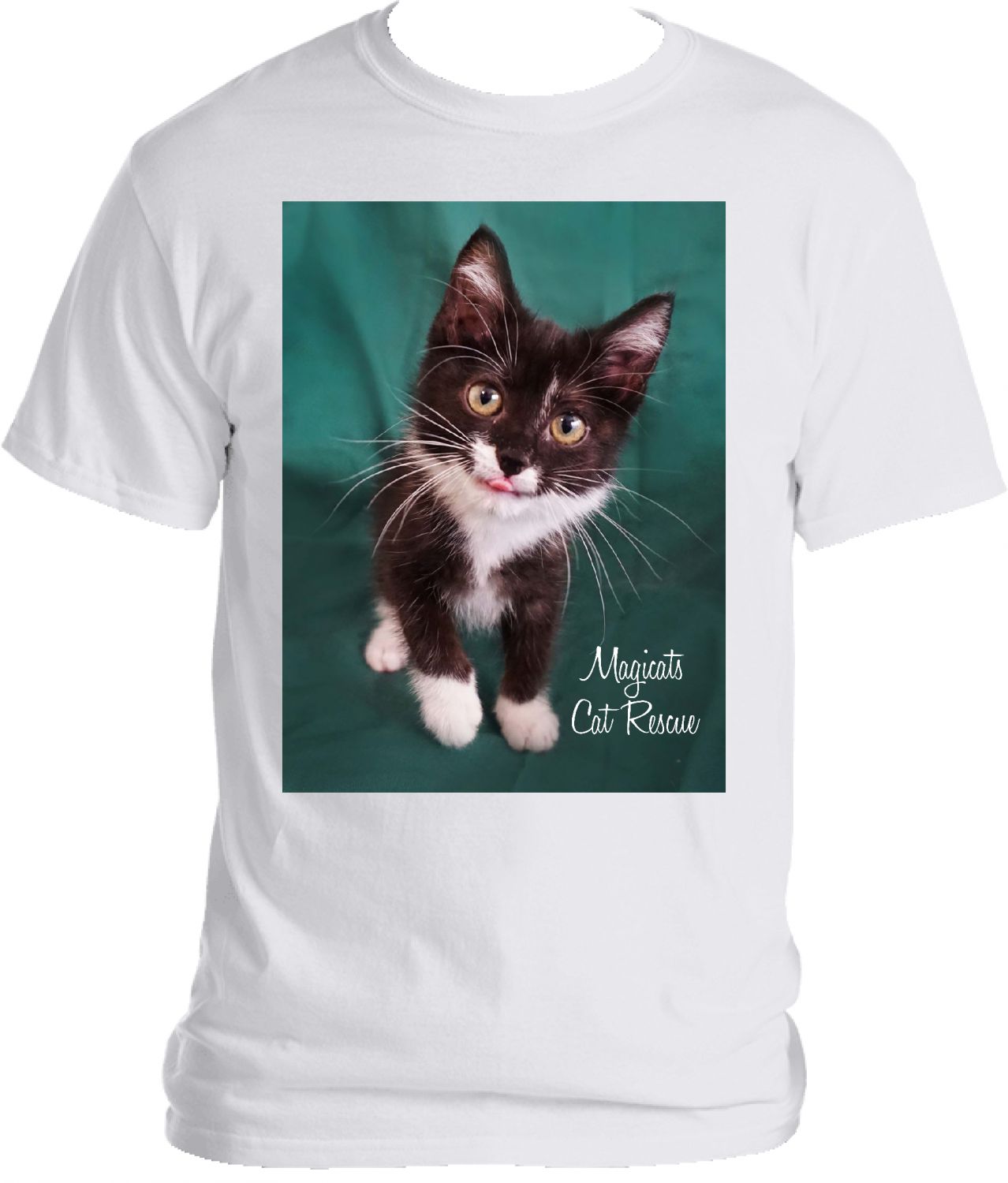 Cat Rescue Cutie!