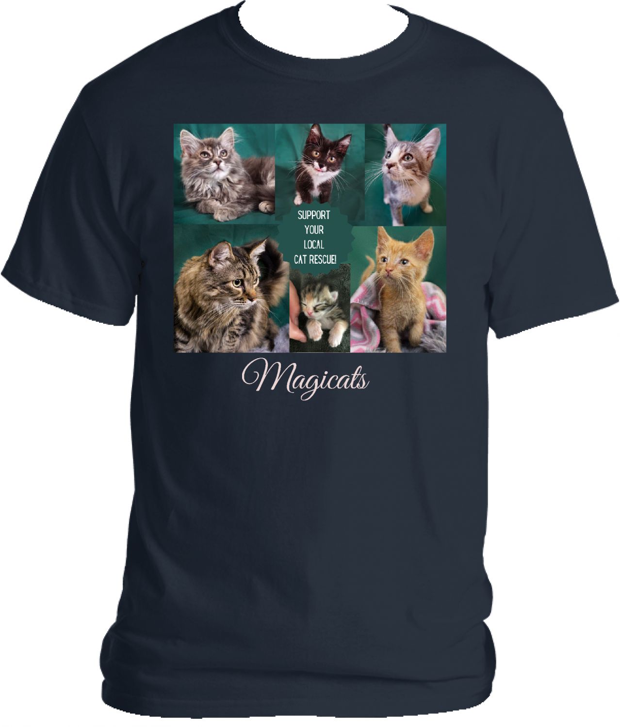 Cat Rescue Support!