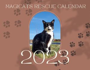 Rescue Cat 2023 Calendar