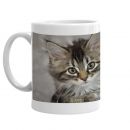 Kittens mug