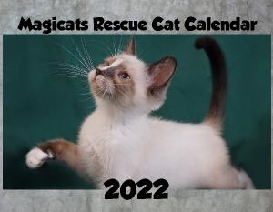 Rescue Cat 2022 Calendar