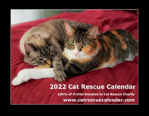 2022 Cat Rescue Calendar