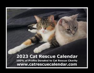 2023 Cat Rescue Calendar