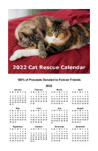 2022 Cat Rescue Calendar Poster