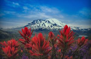 Mt St Helens Poster