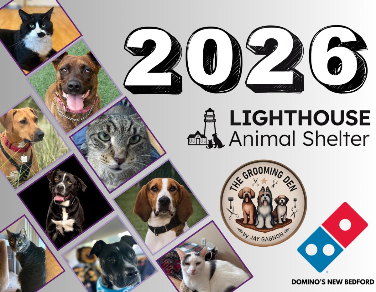 2026 Lighthouse Animal Shelter Calendar