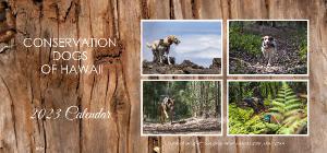 CDH Desktop Calendar 2023