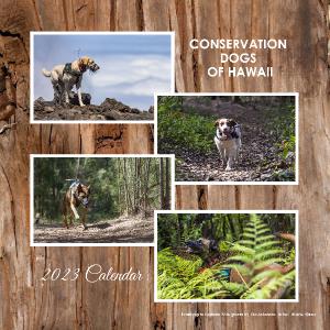 CDH Wall Calendar 2023