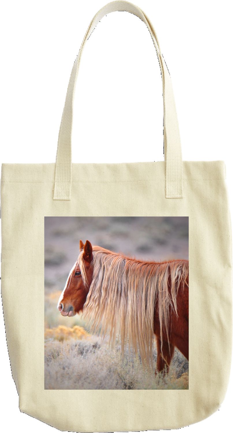 Wild Mustang, Oriana
