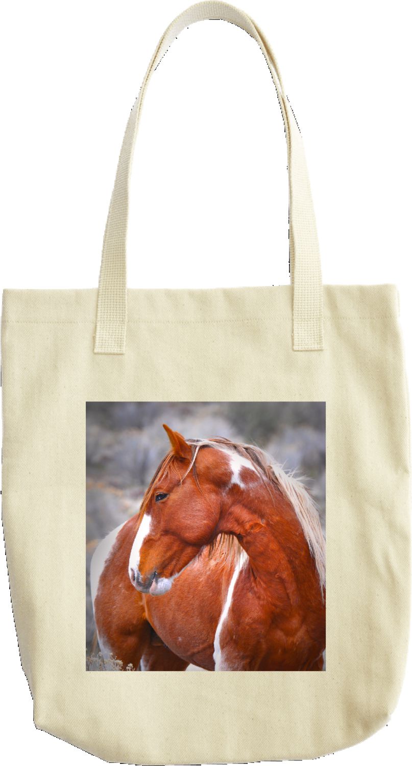 Wild Stallion Curly, of the Virginia Range Nevada