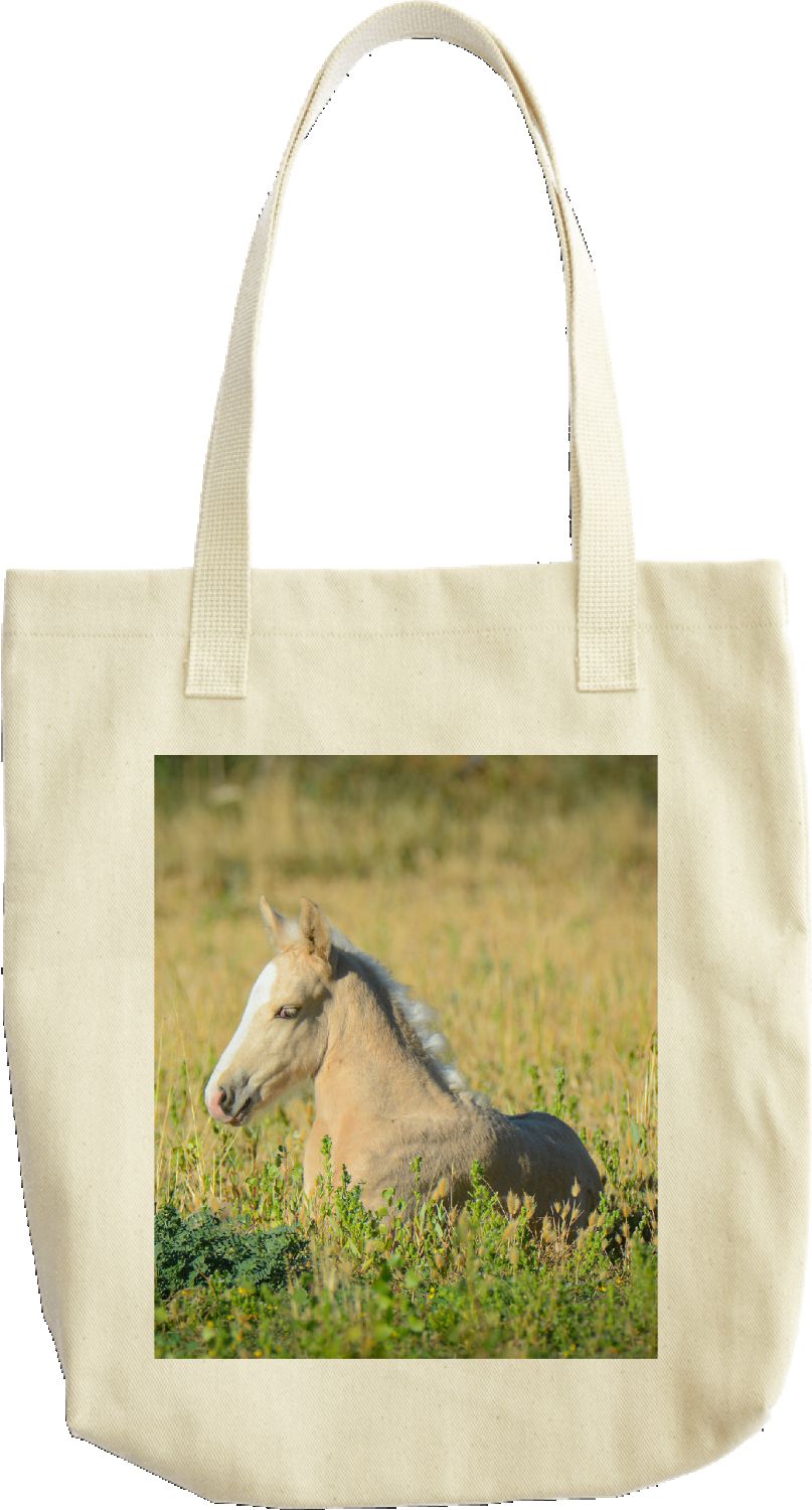 Rodin Virginia Range Mustang Colt