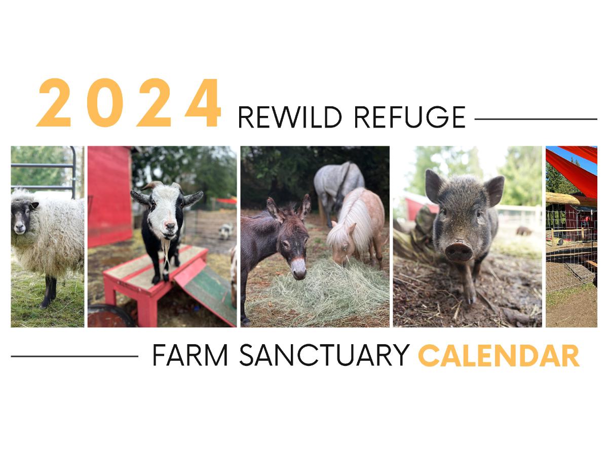 Rewild Refuge 2024 Calendar!