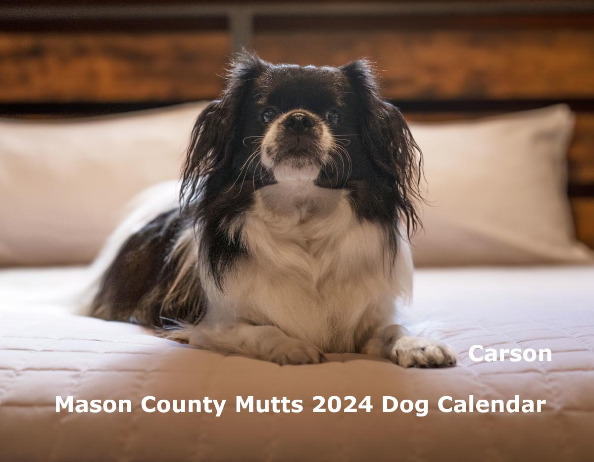 Mason County Mutts 2024 Dog Calendar
