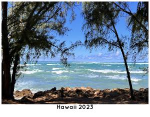 Hawaii Wall Calendar 2023
