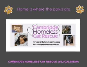 Home is where the paws are 2022 calendar