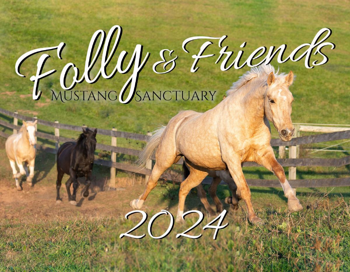 Folly & Friends Mustang Sanctuary 2024