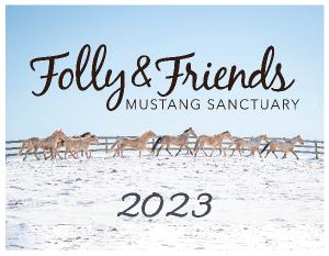 Folly and Friends 2023
