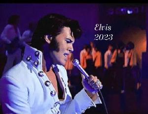 chelsead23