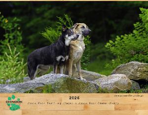 2026 COA Chinook Dog Calendar
