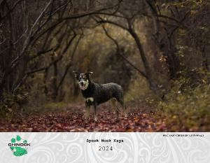 2024 COA Chinook Dog Calendar