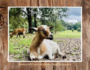Sunny Hill Farms of Ocala Goat Sanctuary