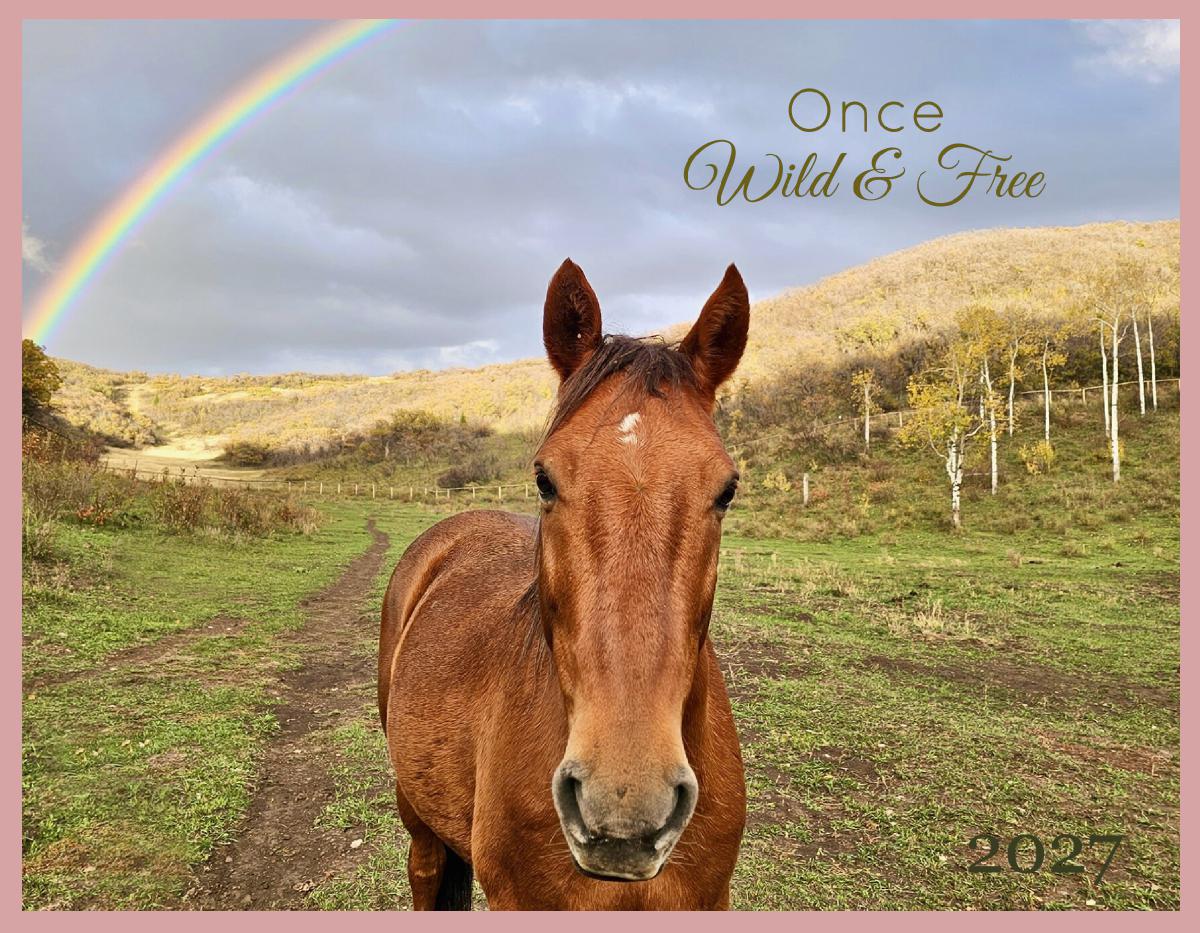 Once Wild and Free 2027