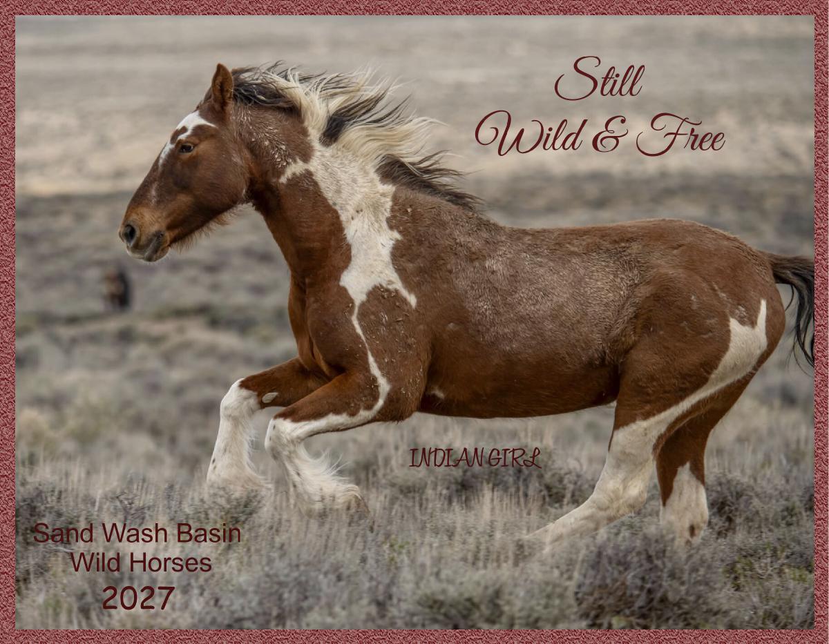 Still Wild & Free Sand Wash Basin 2027