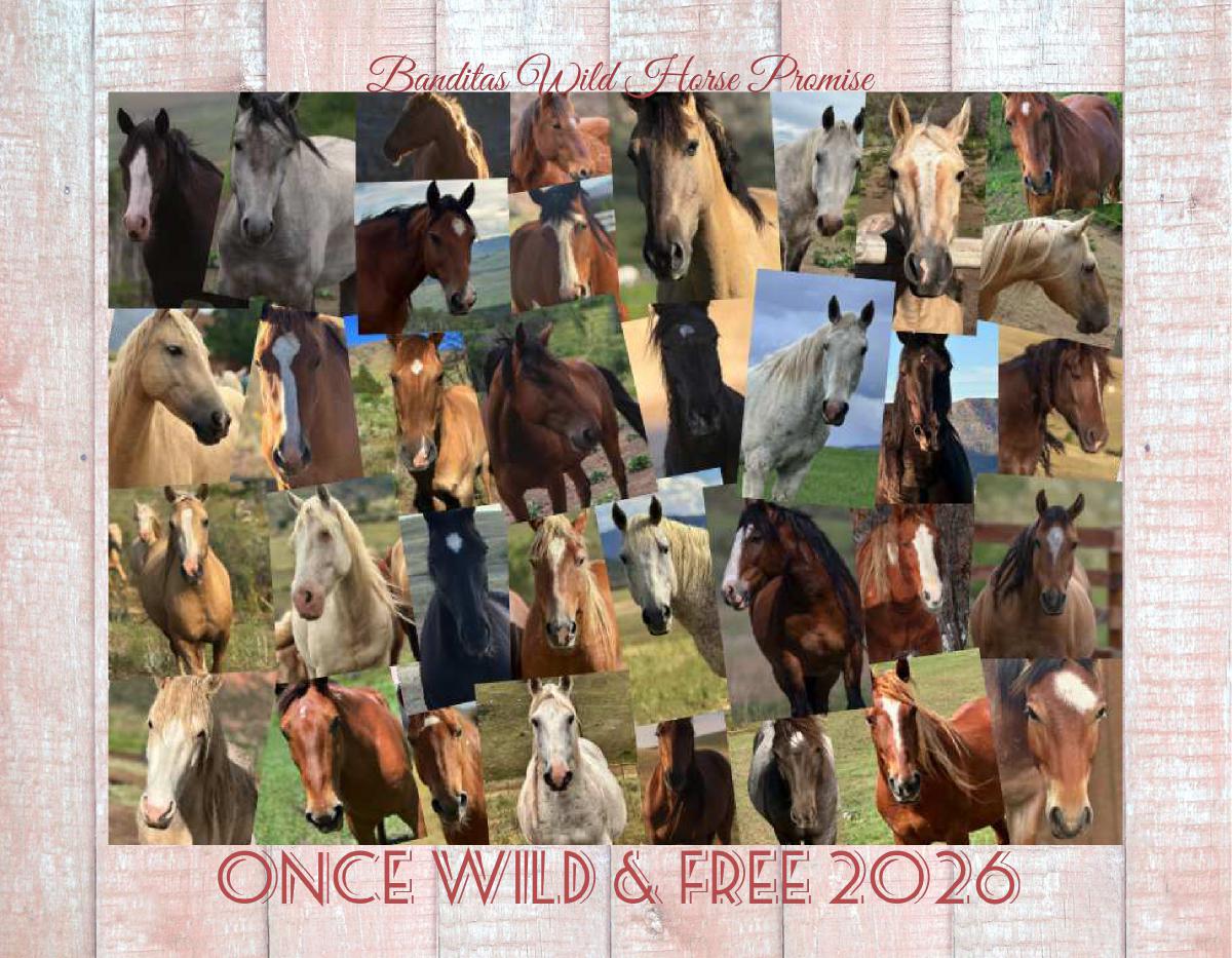 Once Wild & Free 2026